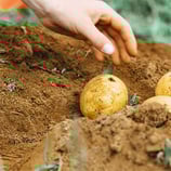  LEVERAGE BIORESINS FOR SUCCESSFUL INJECTION MOLDING